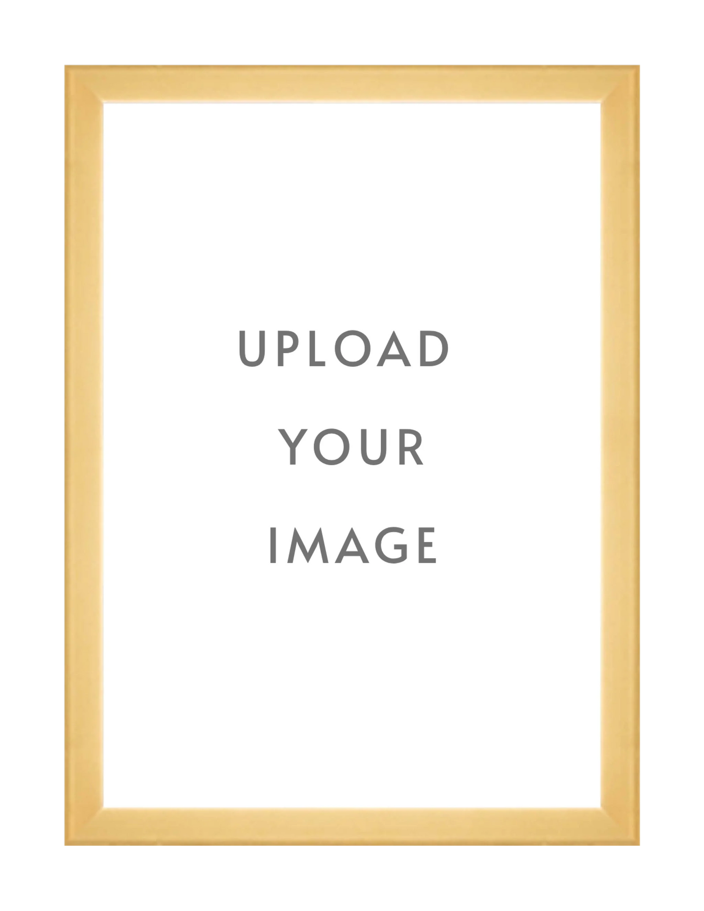 4.3 GOLD FRAME 24x34 white matting
