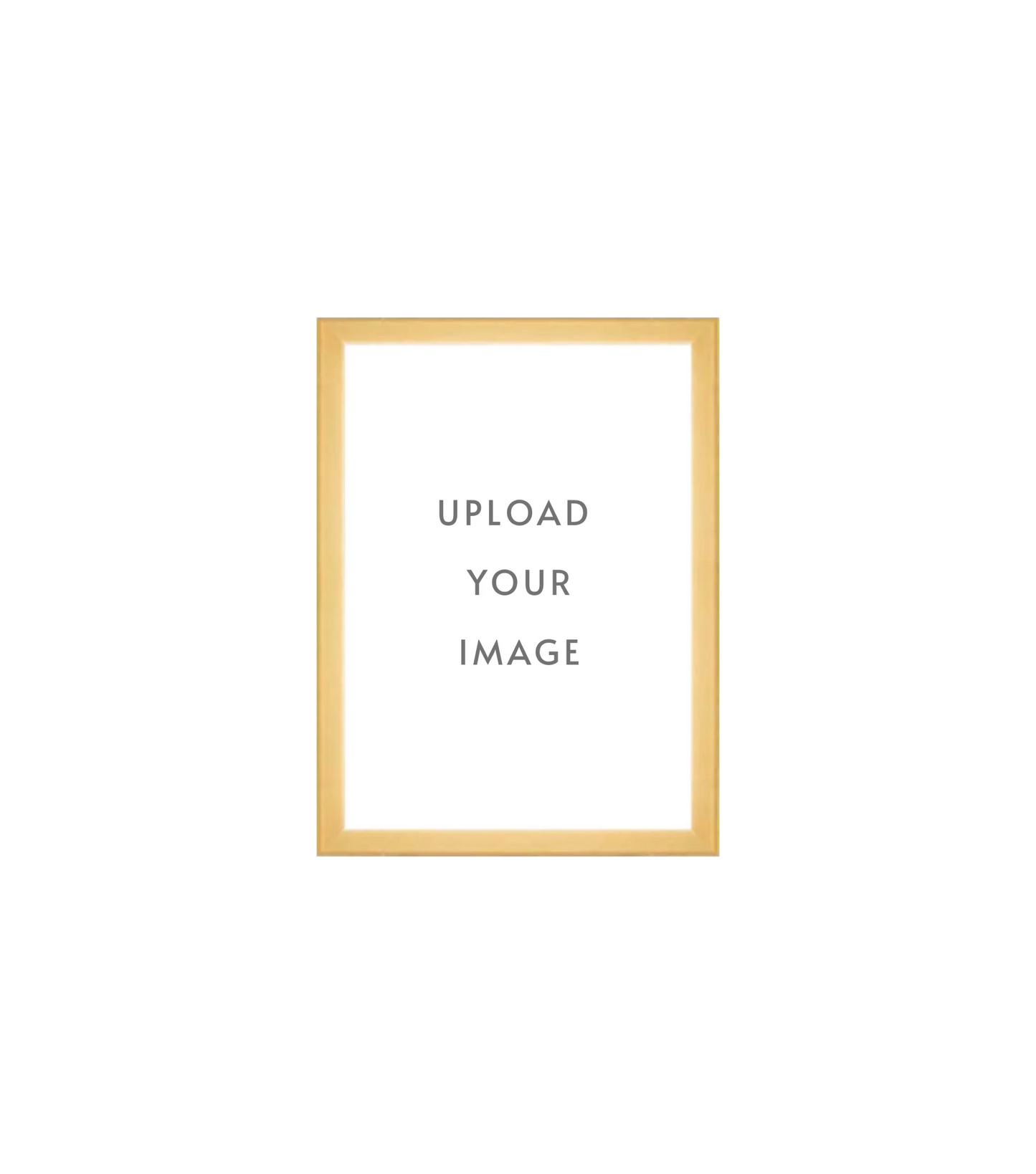 4.3 GOLD FRAME 5x7 white matting