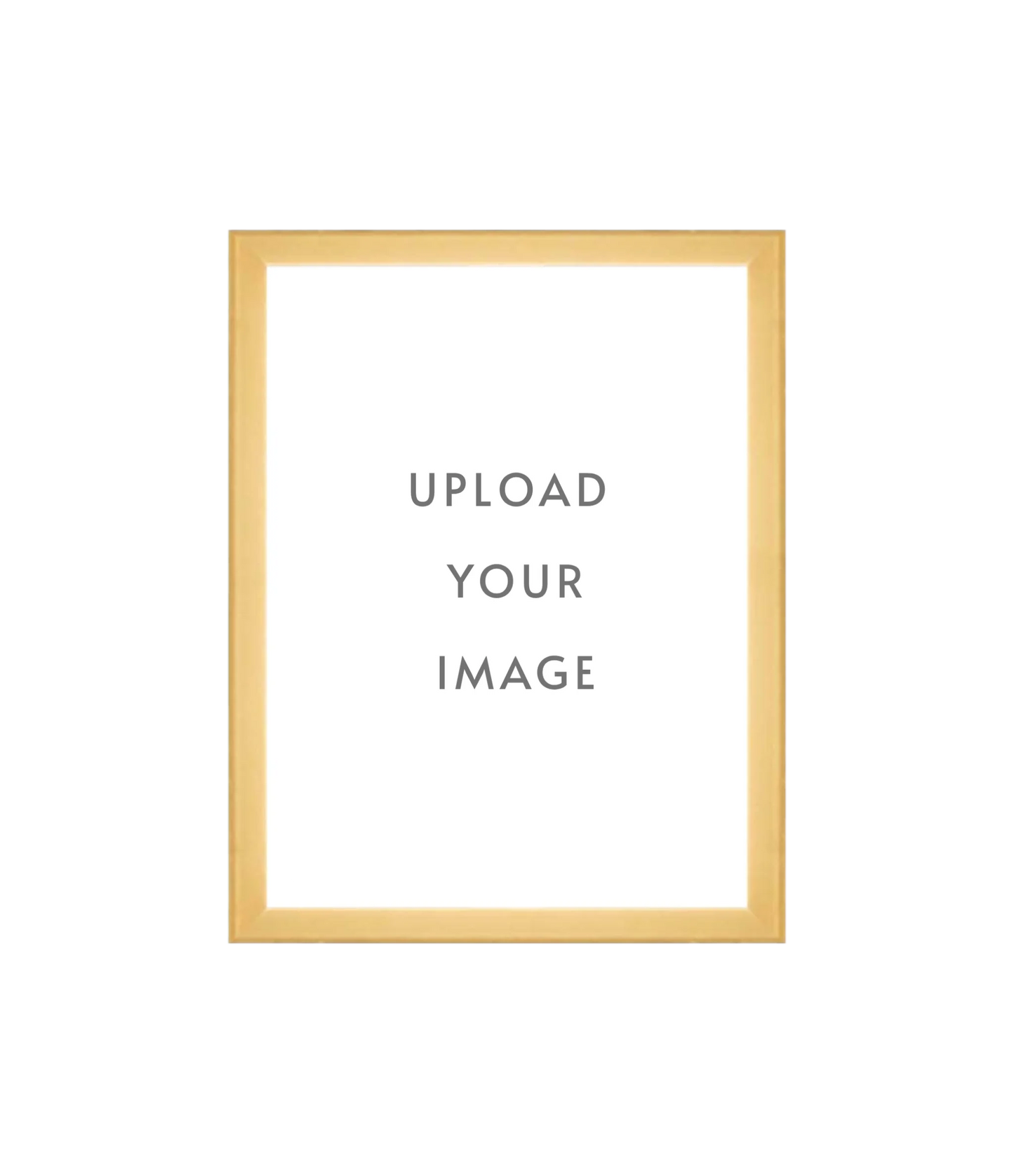 4.3 GOLD FRAME 9x12 white matting