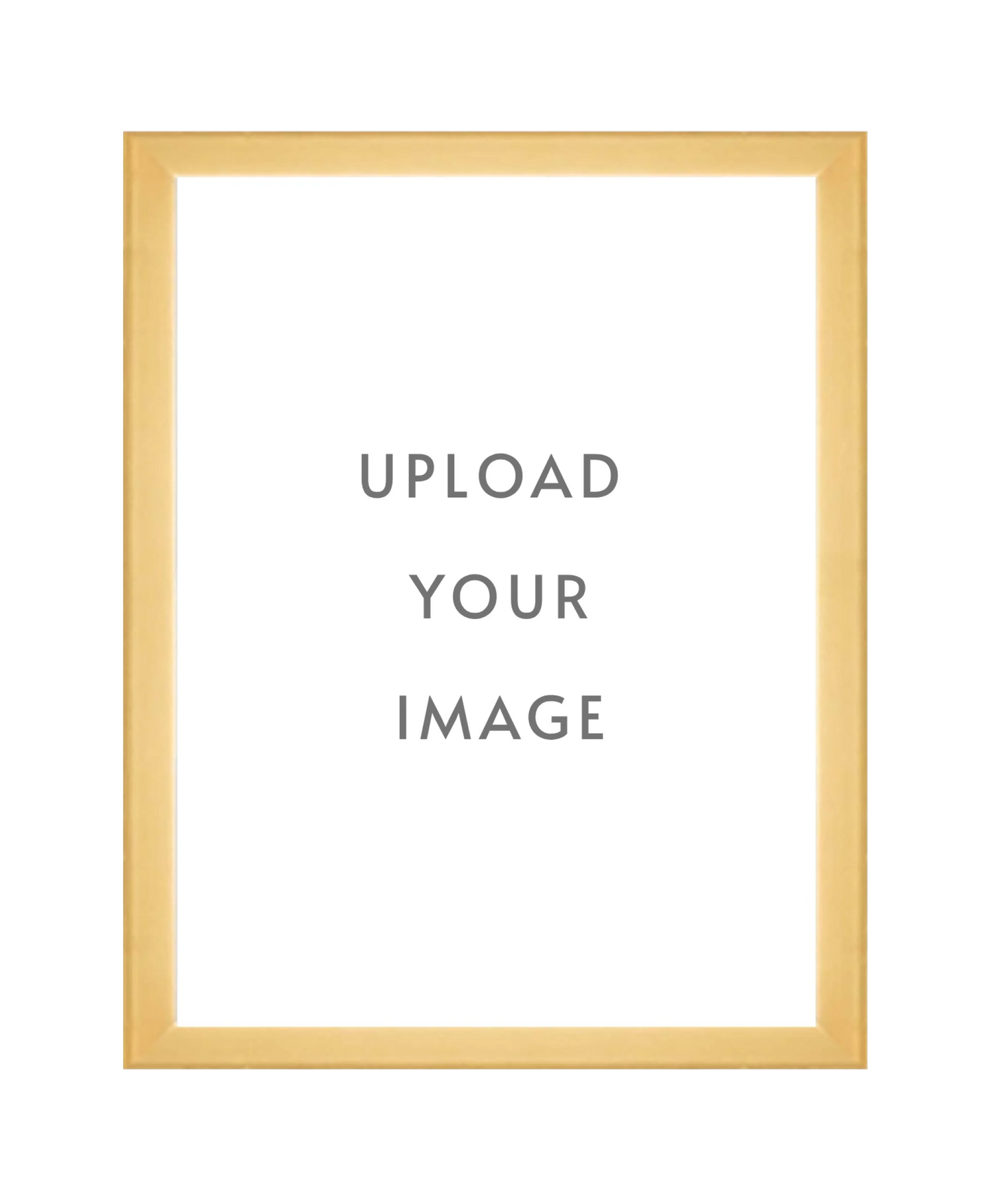 4.3 GOLD FRAME 18x24 white matting