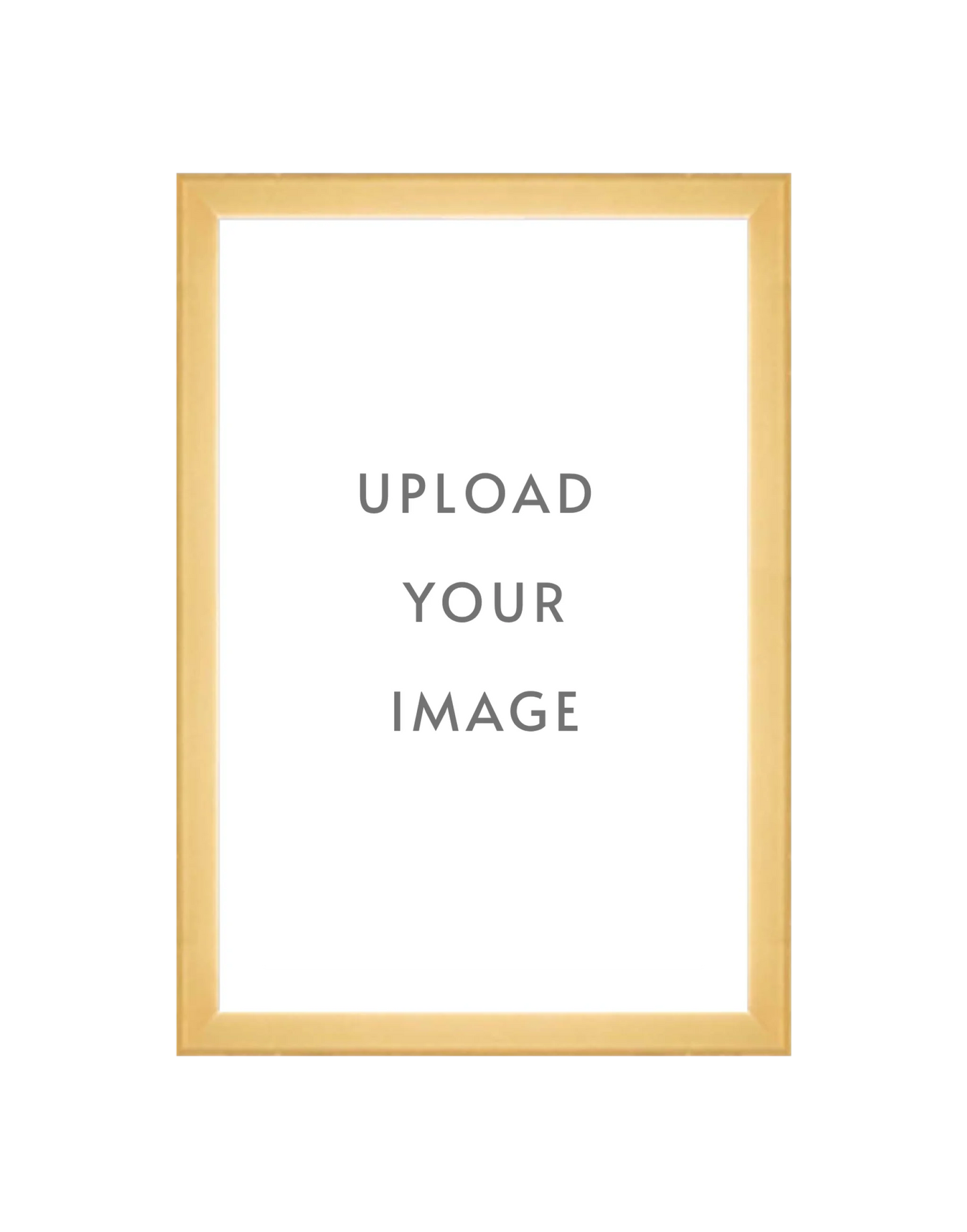 4.3 GOLD FRAME 12x18 white matting