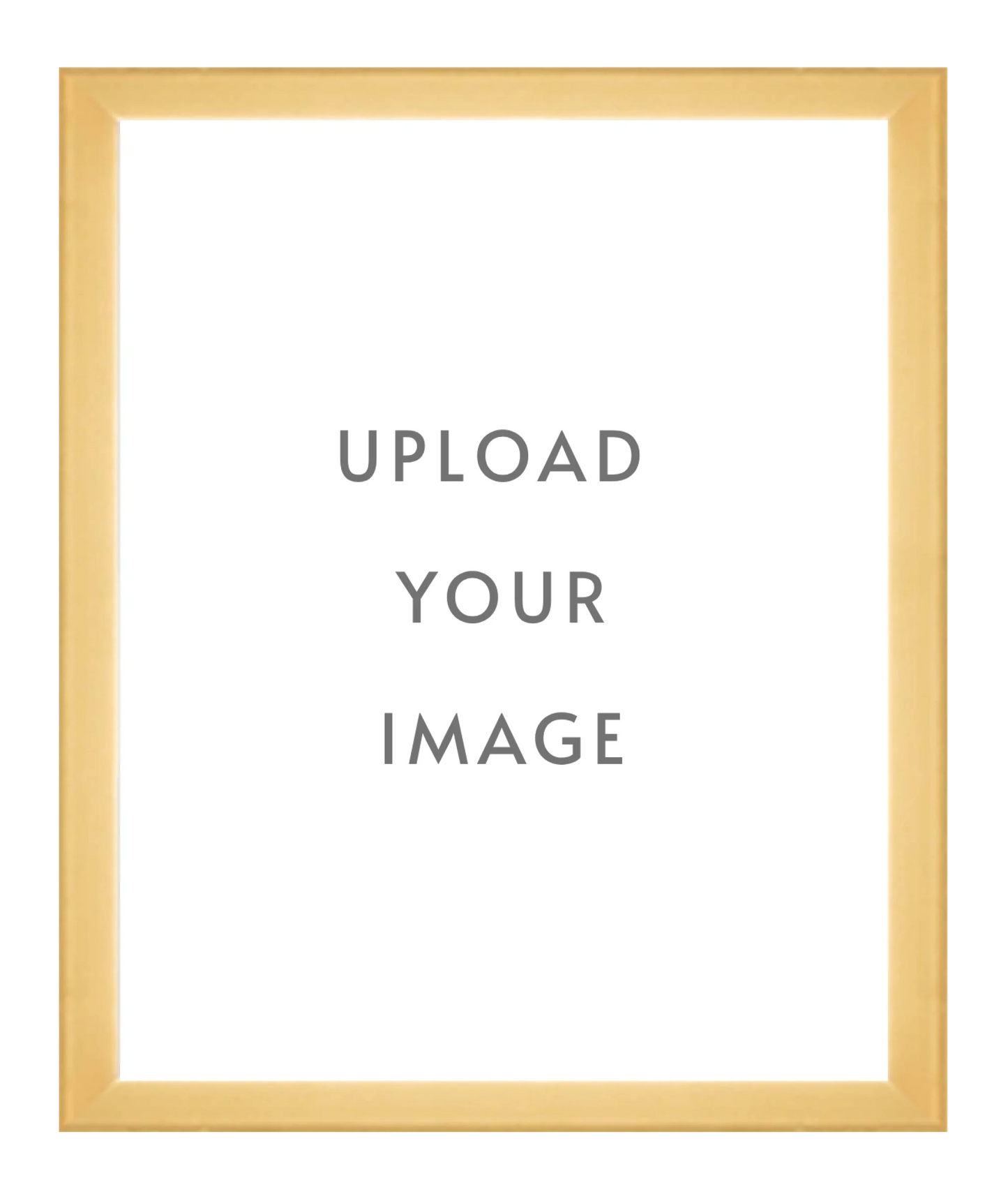 4.3 GOLD FRAME 32x40 white matting