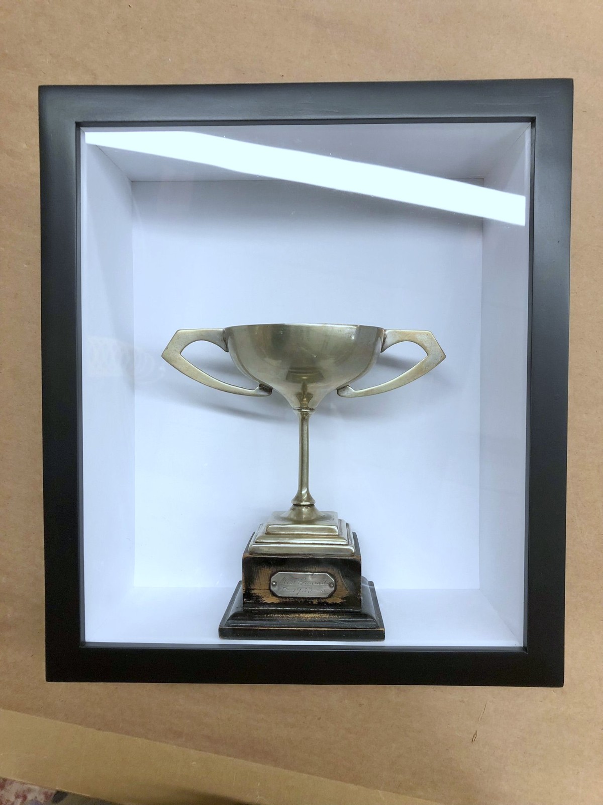 Trophy and story objects in one box