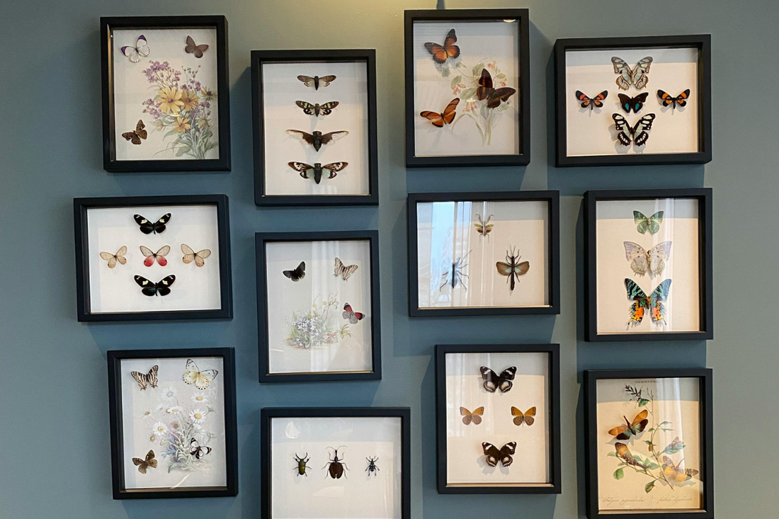How to Ship Framed Art Safely: Domestic vs. International Best Practices Explained