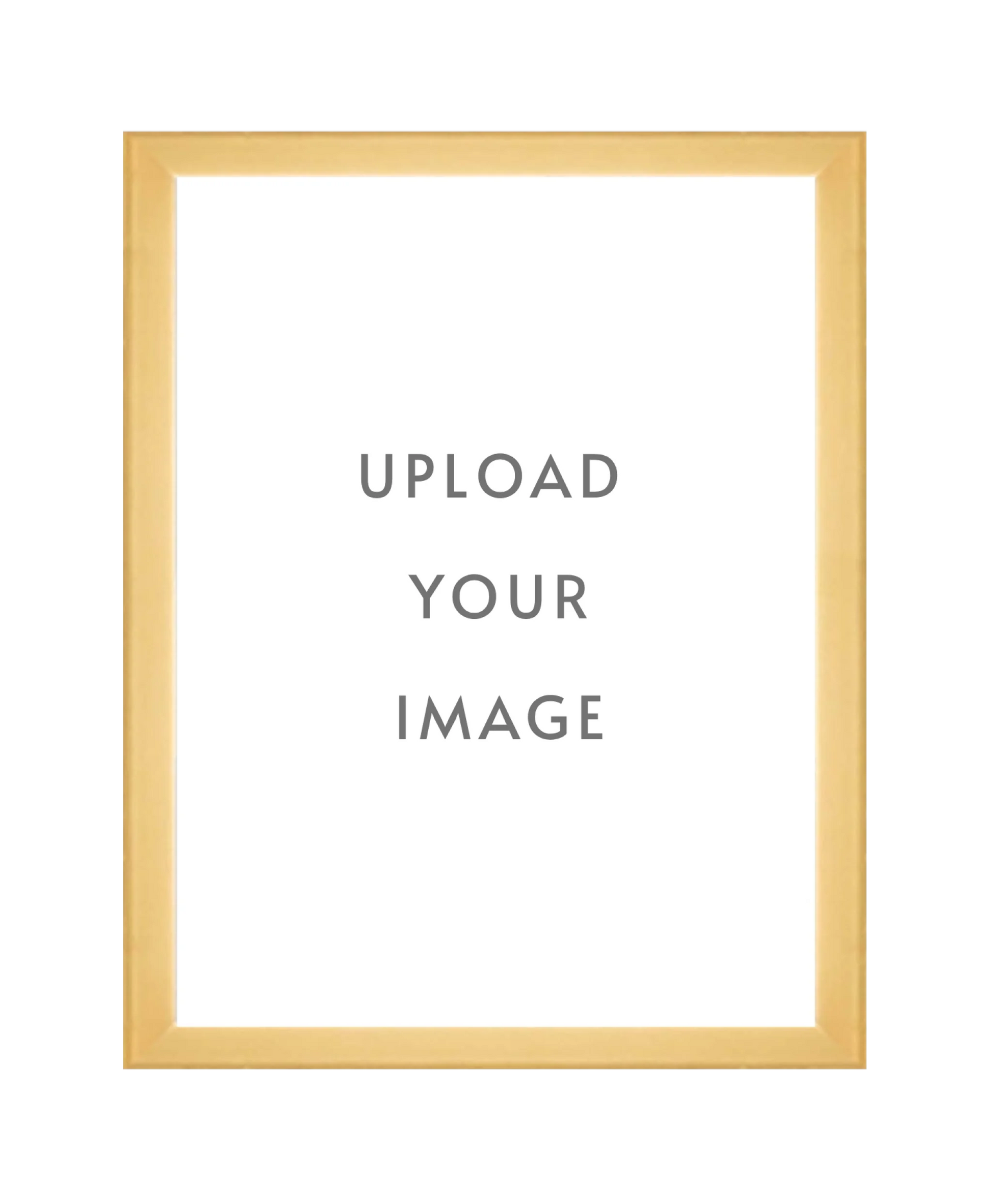 4.3 GOLD FRAME  18x24 white matting