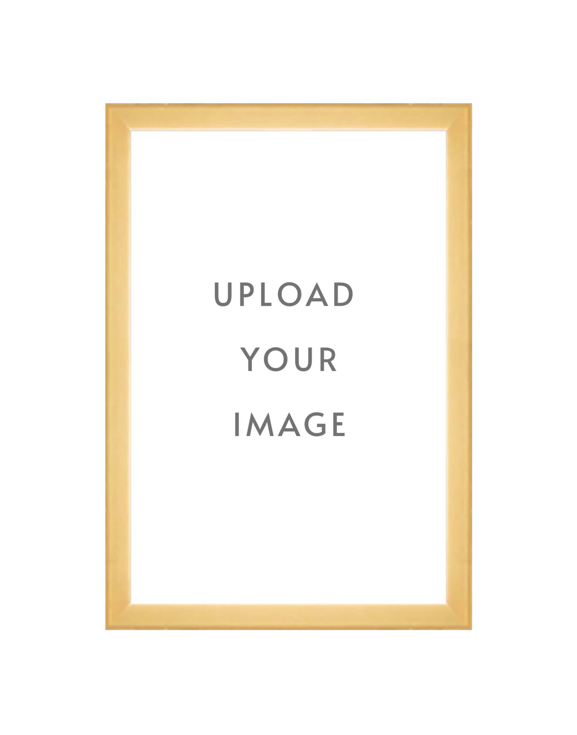 4.3 GOLD FRAME  12x18 white matting