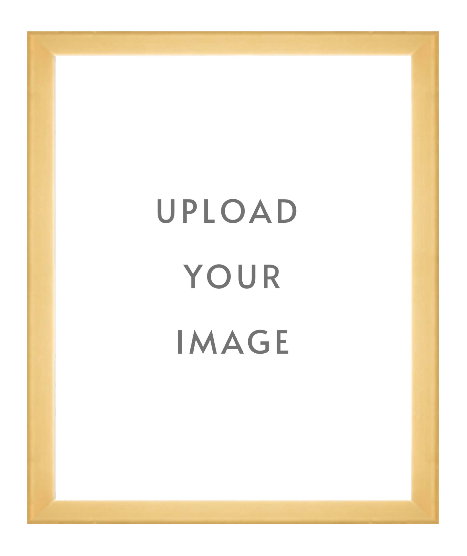 4.3 GOLD FRAME  32x40 white matting