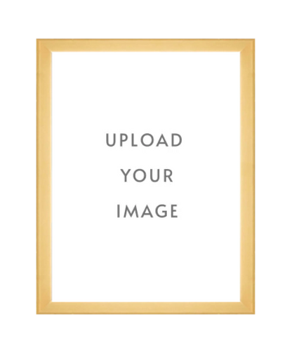 4.3 GOLD FRAME  18x24 white matting