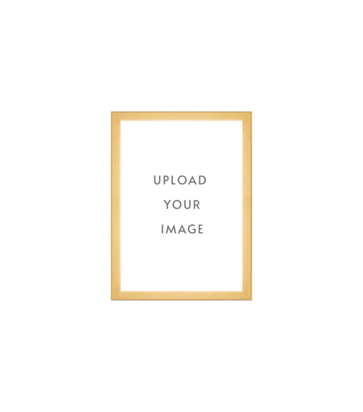 4.3 GOLD FRAME  5x7 white matting
