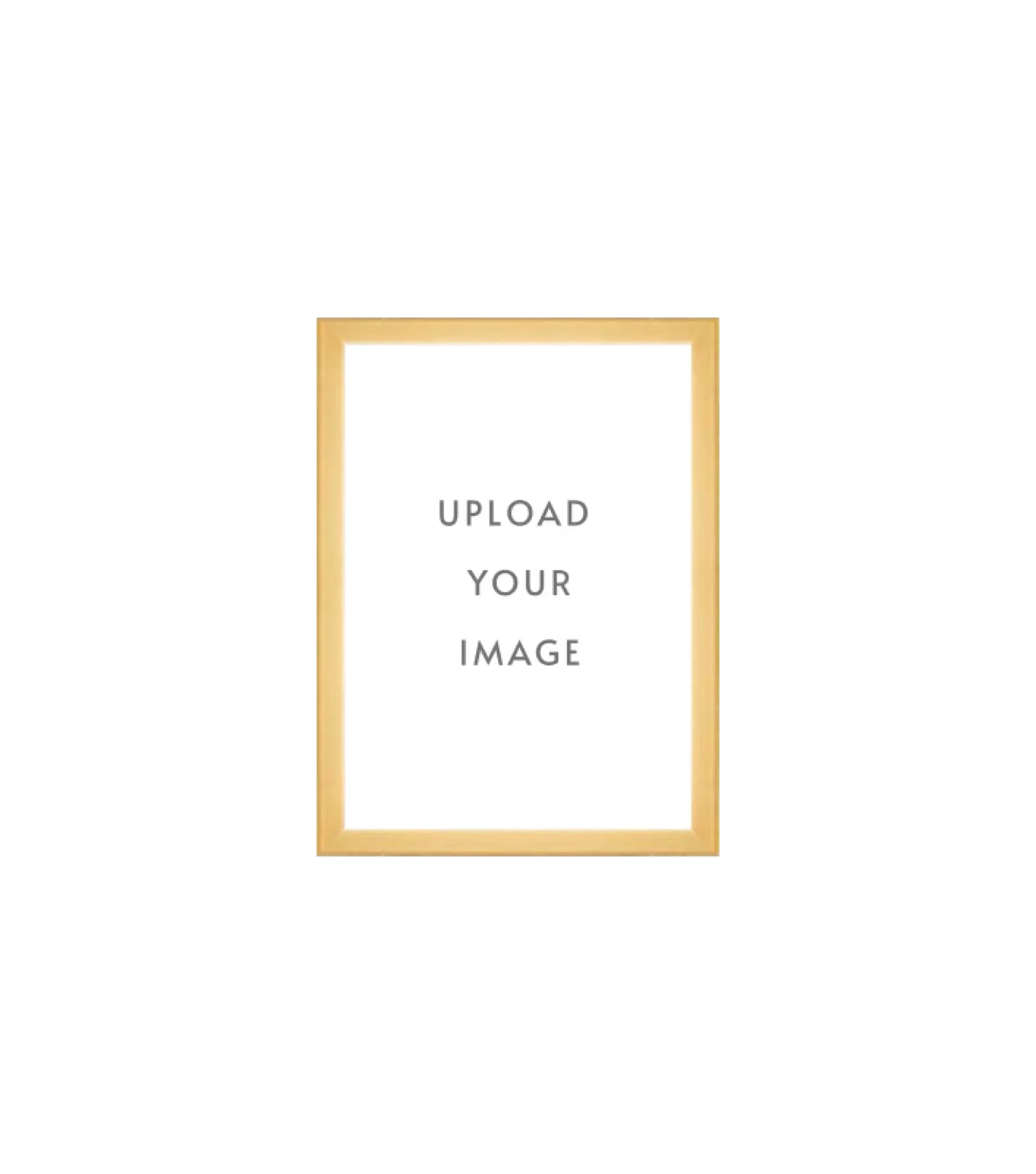 4.3 GOLD FRAME  5x7 white matting