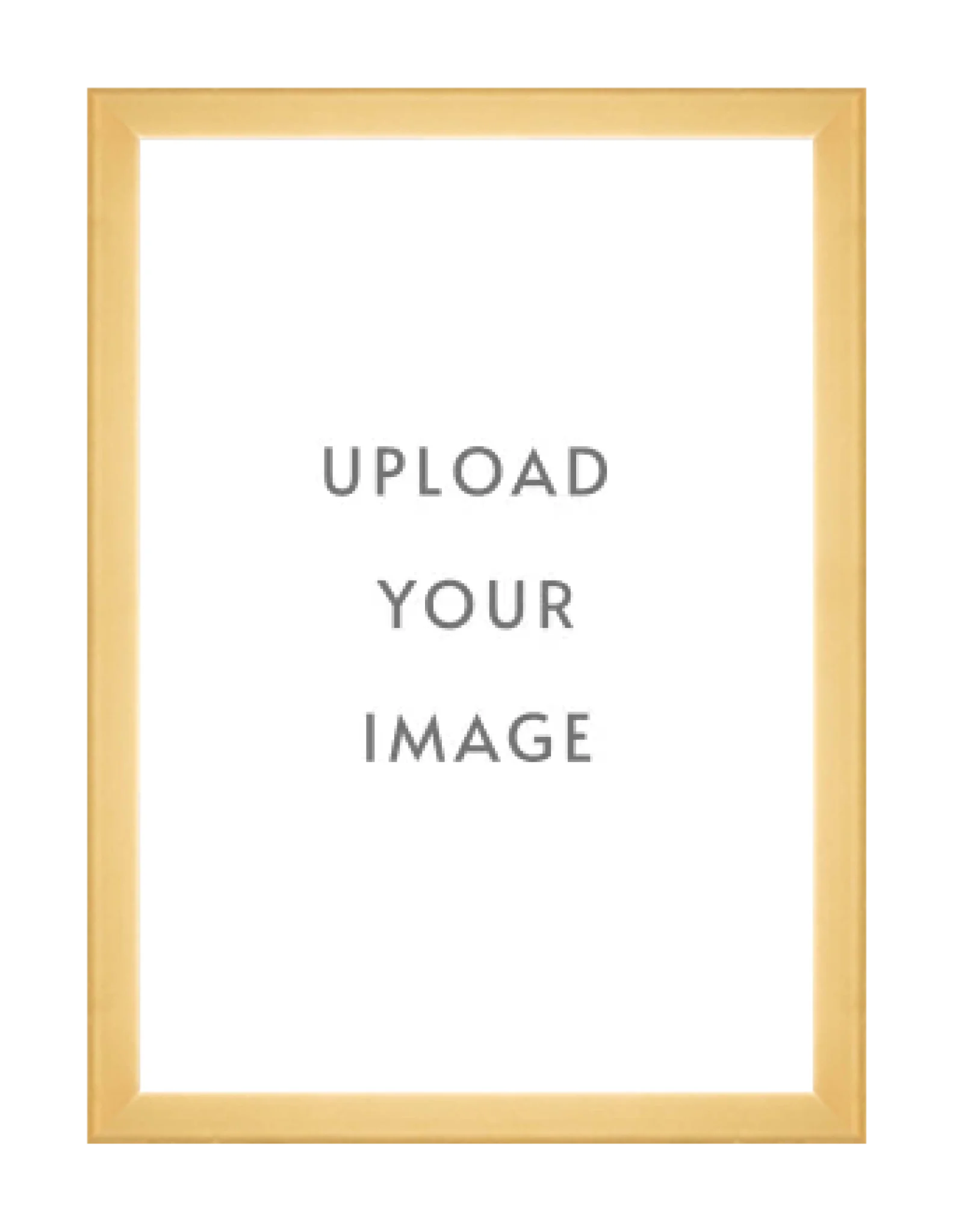 4.3 GOLD FRAME  24x34 white matting