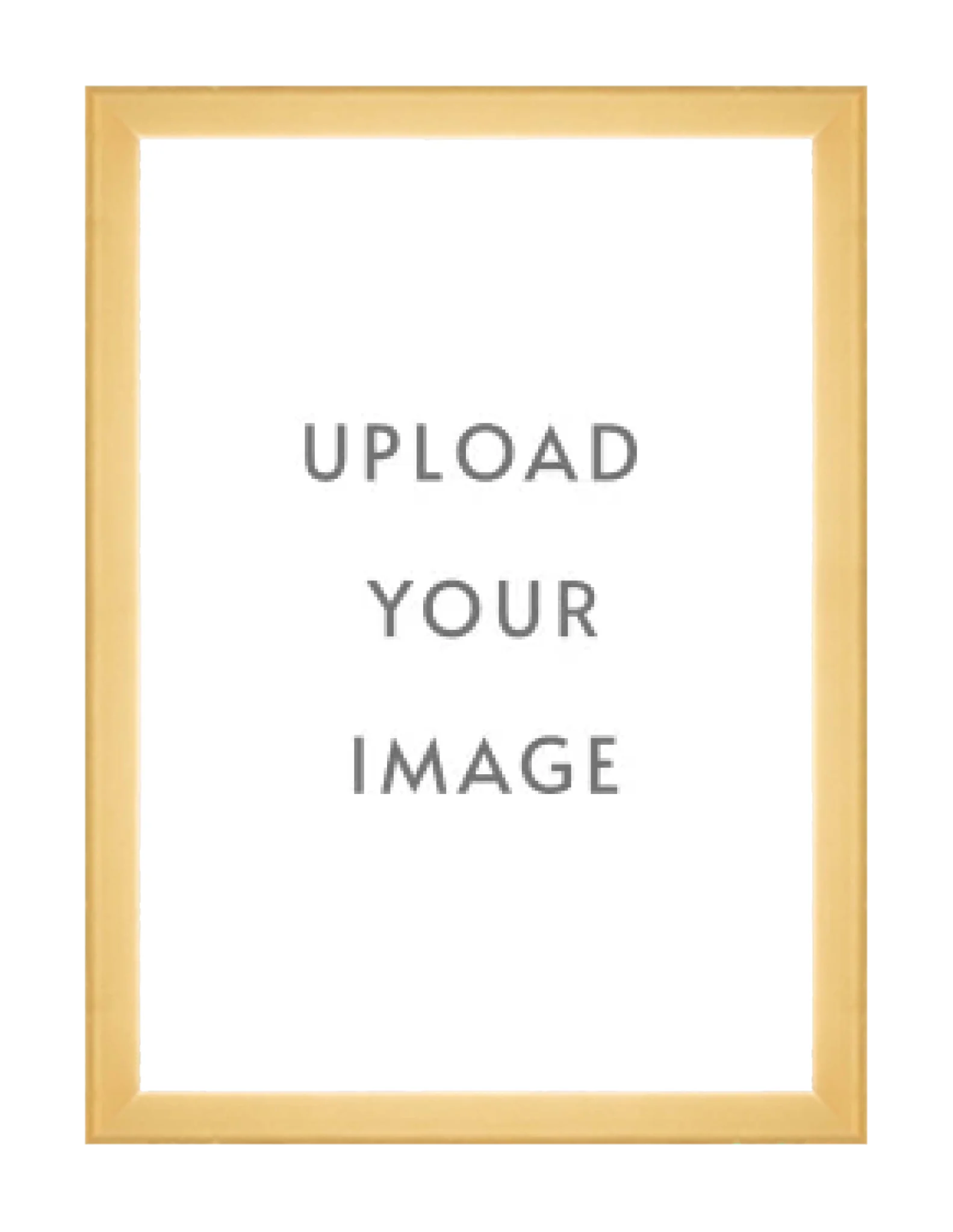2.1 GOLD FRAME 24x34