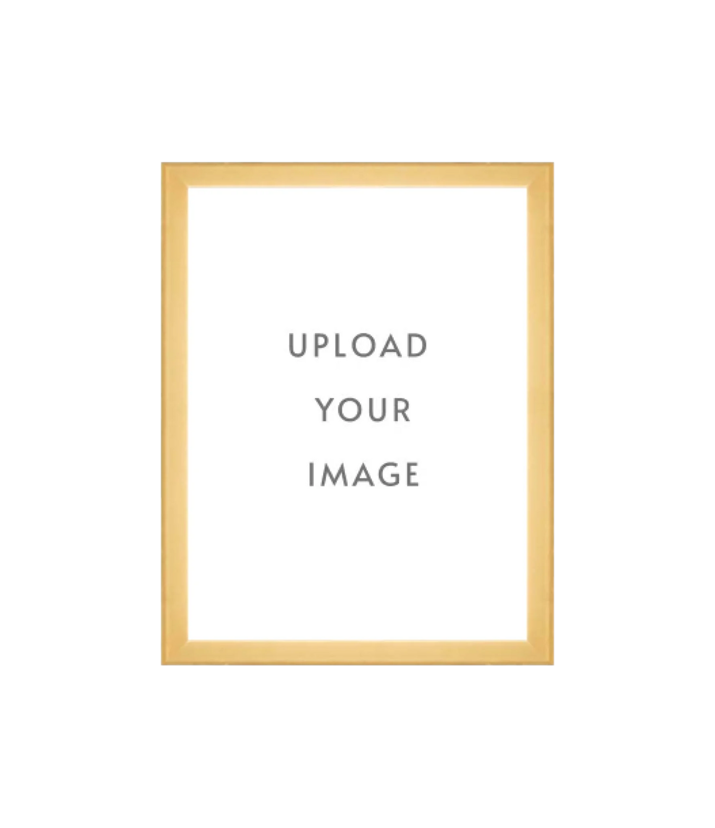 4.3 GOLD FRAME 9x12 white matting