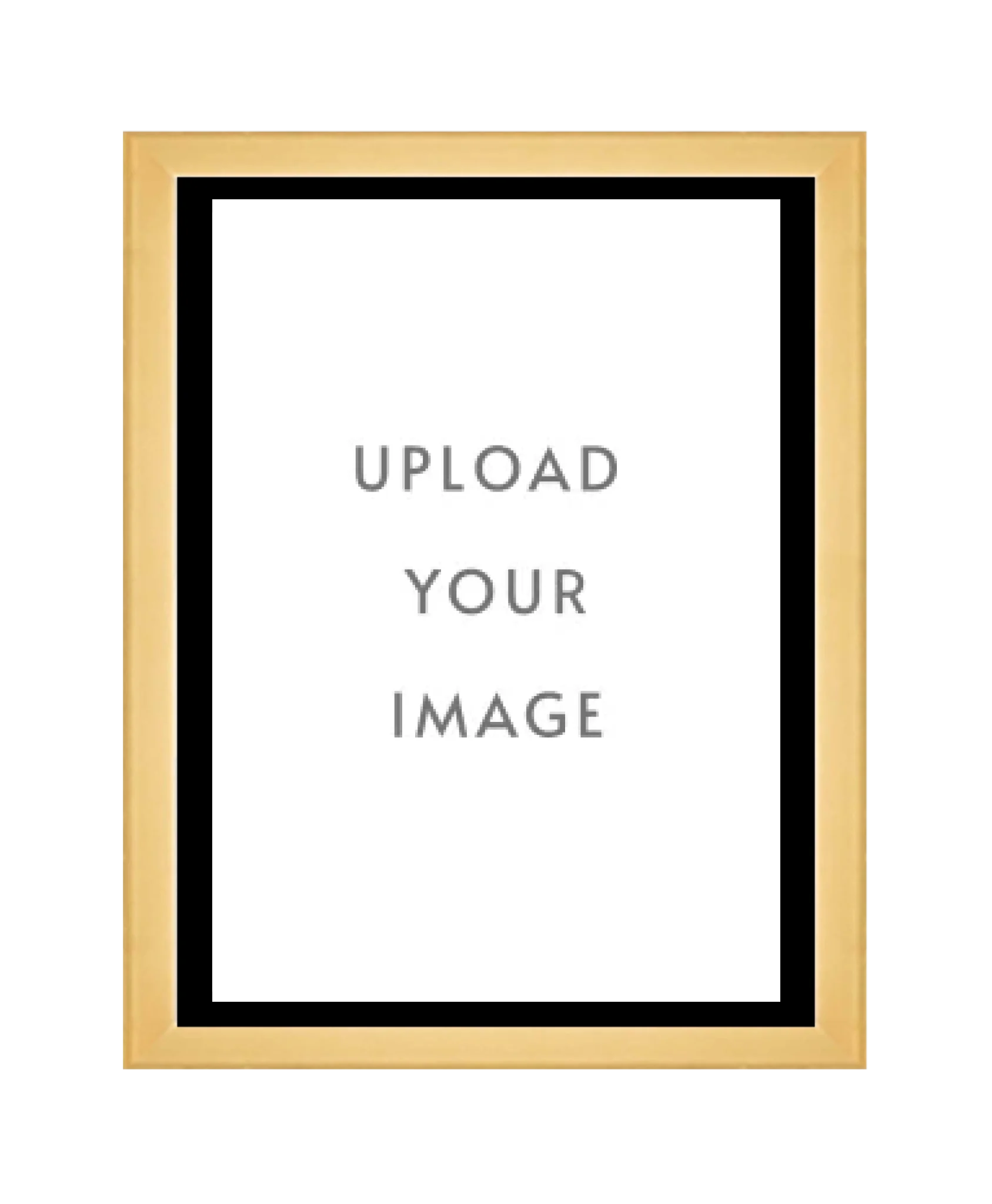 4.1 GOLD FRAME  18x24 black matting