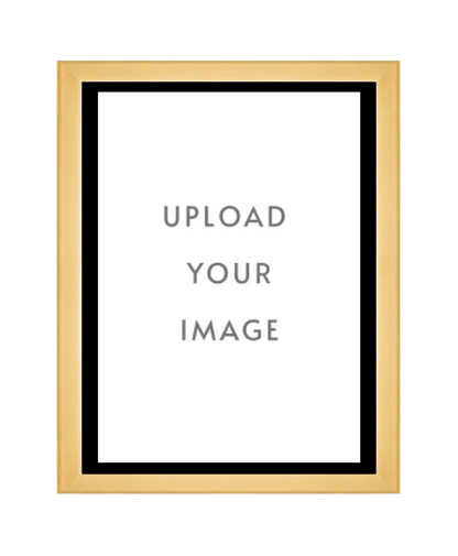 4.1 GOLD FRAME  18x24 black matting