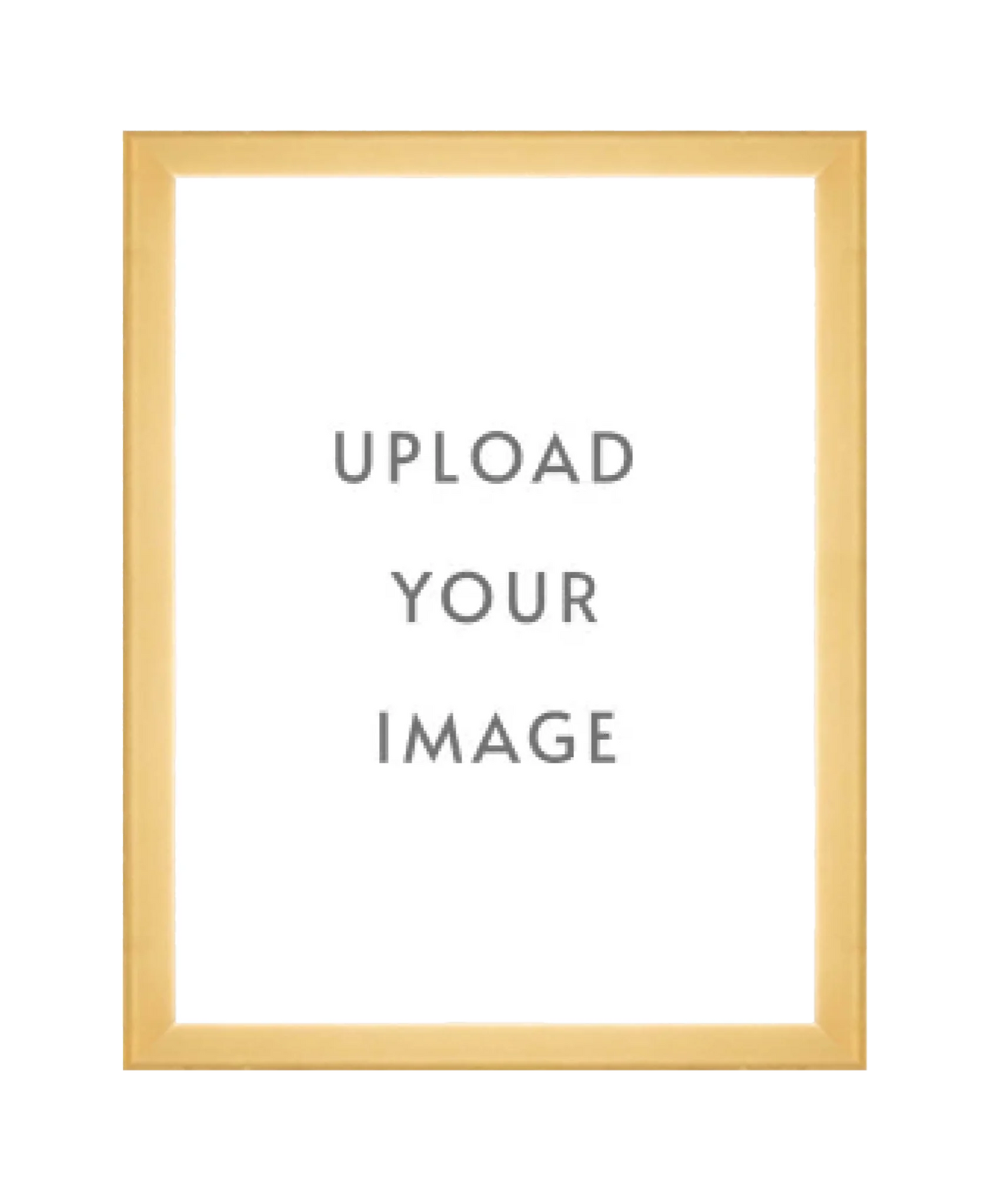 2.1 GOLD FRAME 18x24