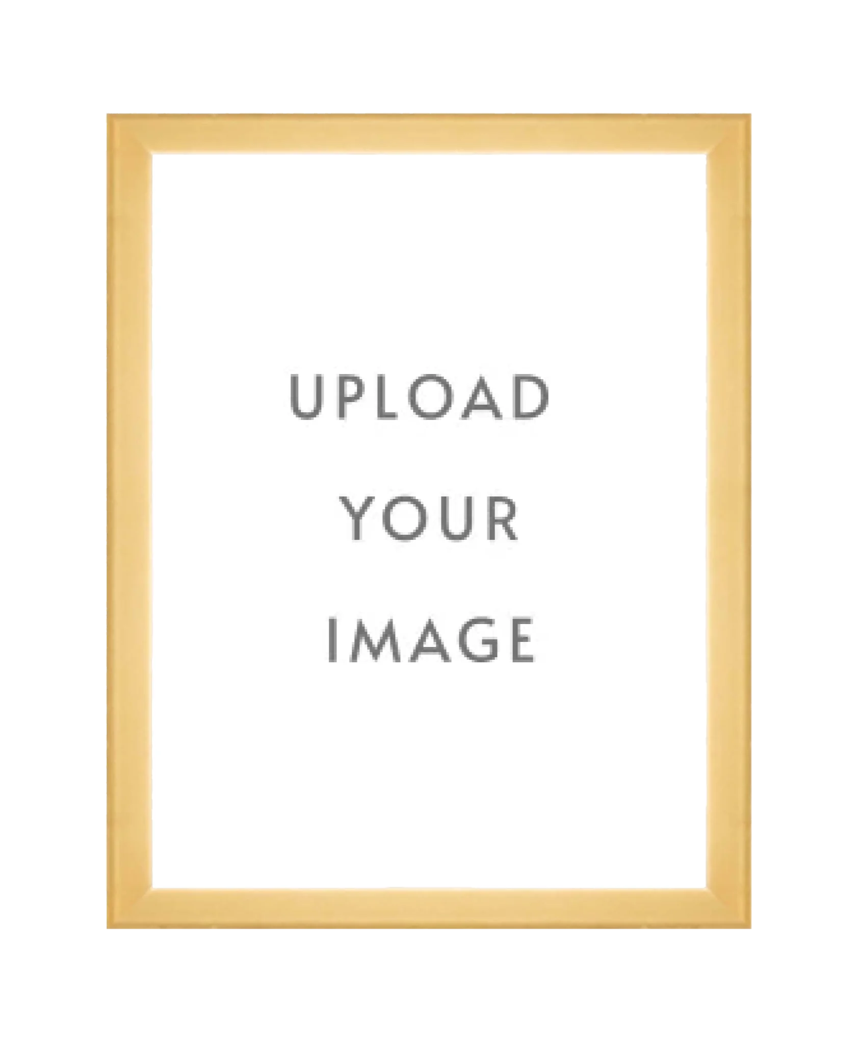 2.1 GOLD FRAME 18x24