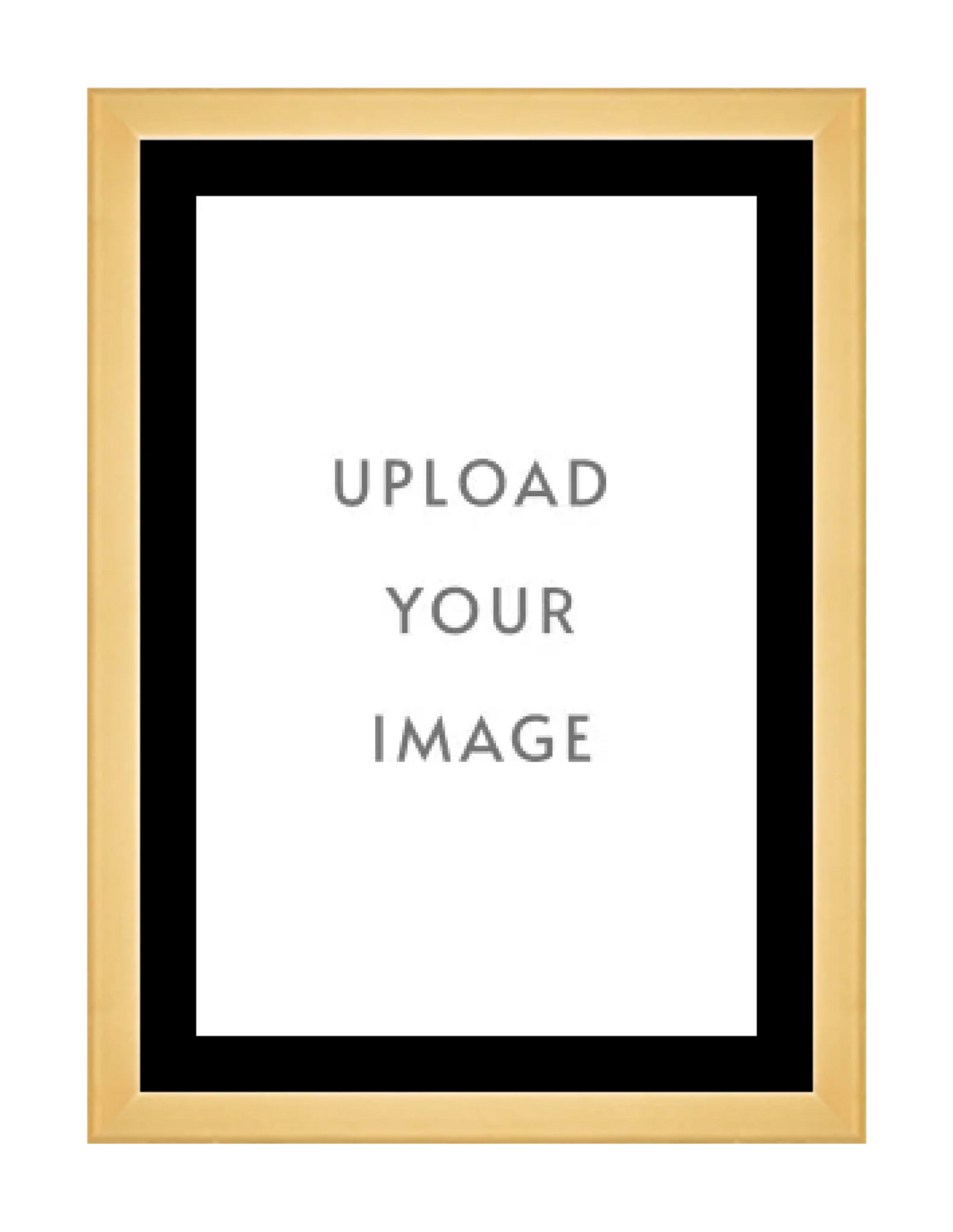 4.1 GOLD FRAME 24x34 black matting
