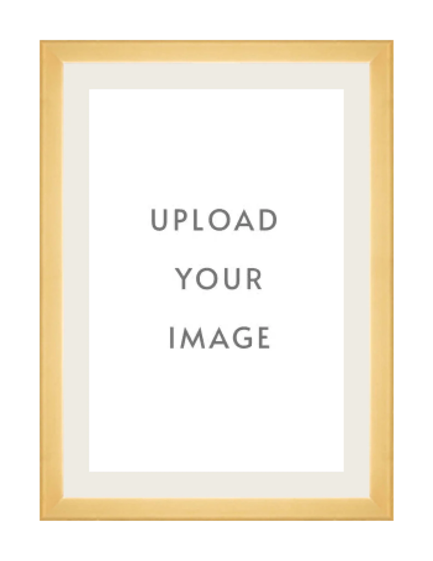 4.2 GOLD FRAME  24x34 off white matting