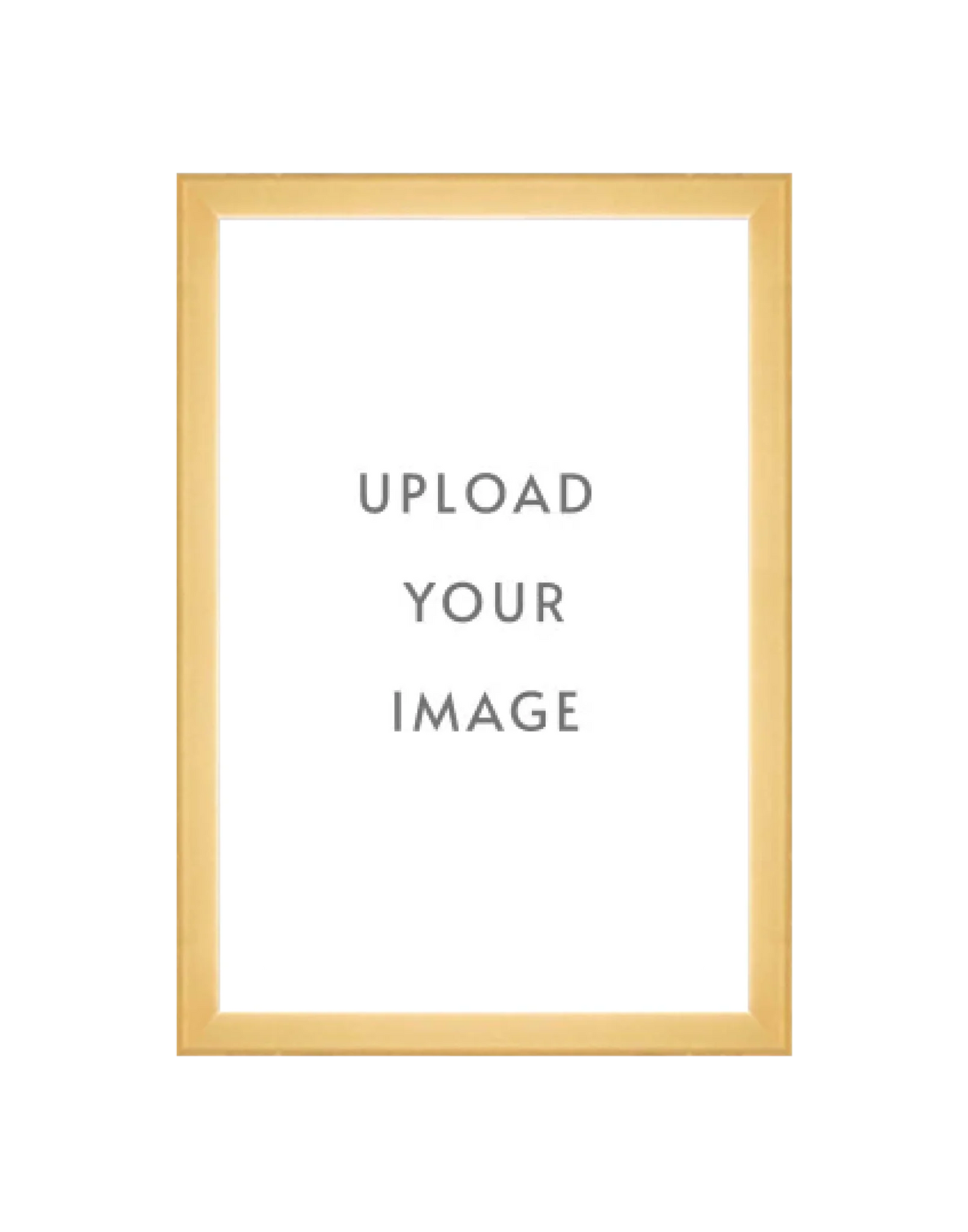 4.3 GOLD FRAME  12x18 white matting
