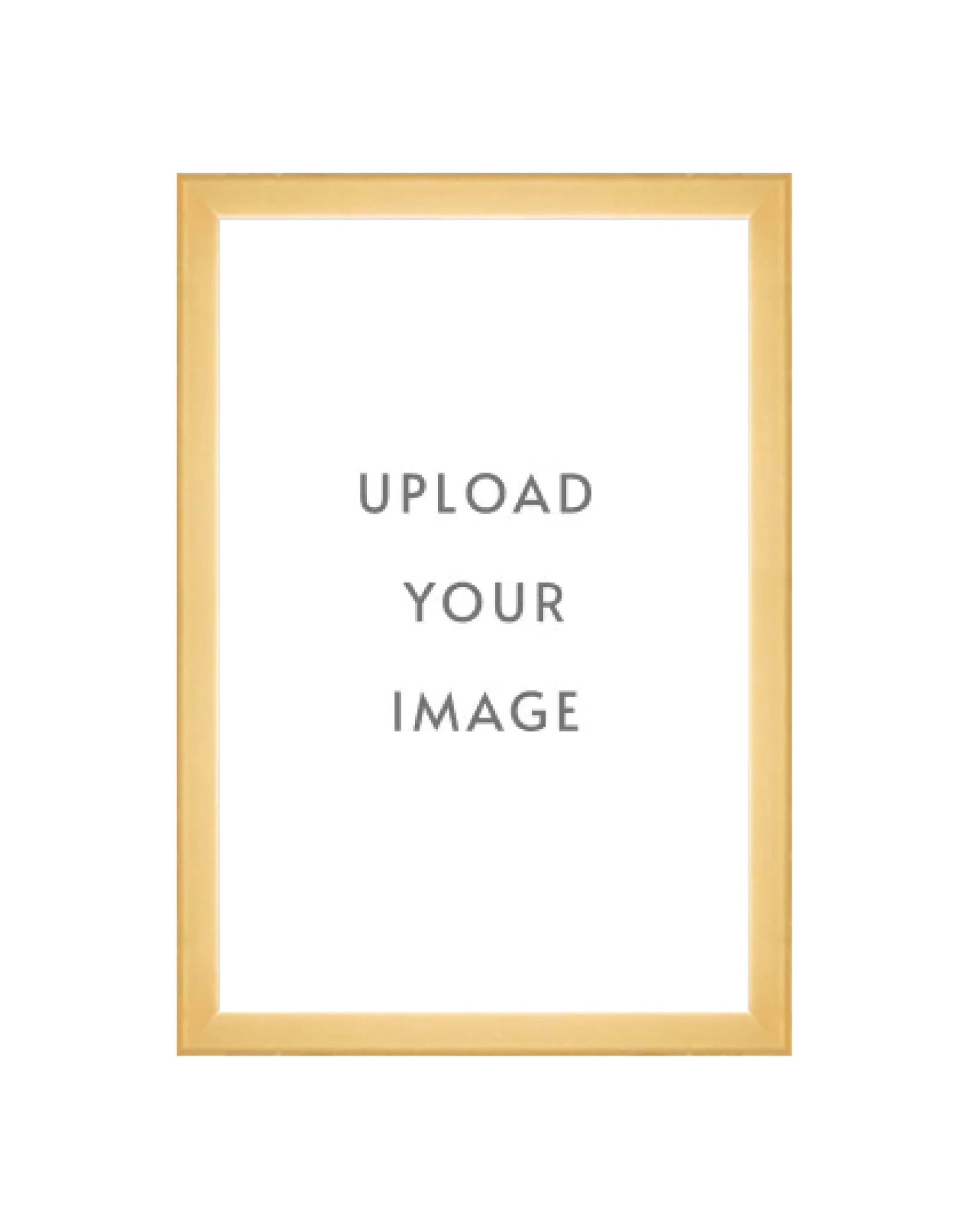 4.3 GOLD FRAME  12x18 white matting