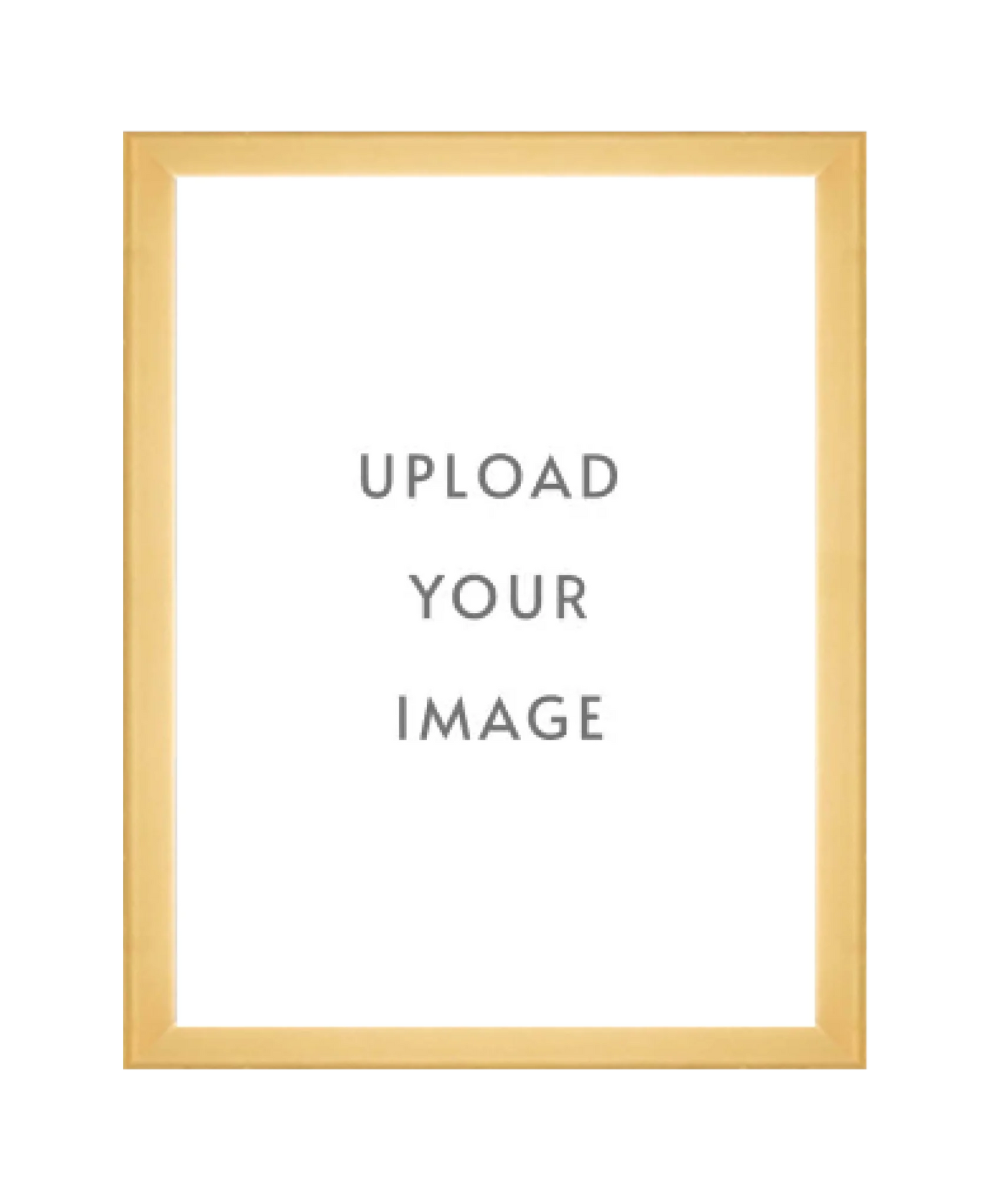 4.3 GOLD FRAME  18x24 white matting