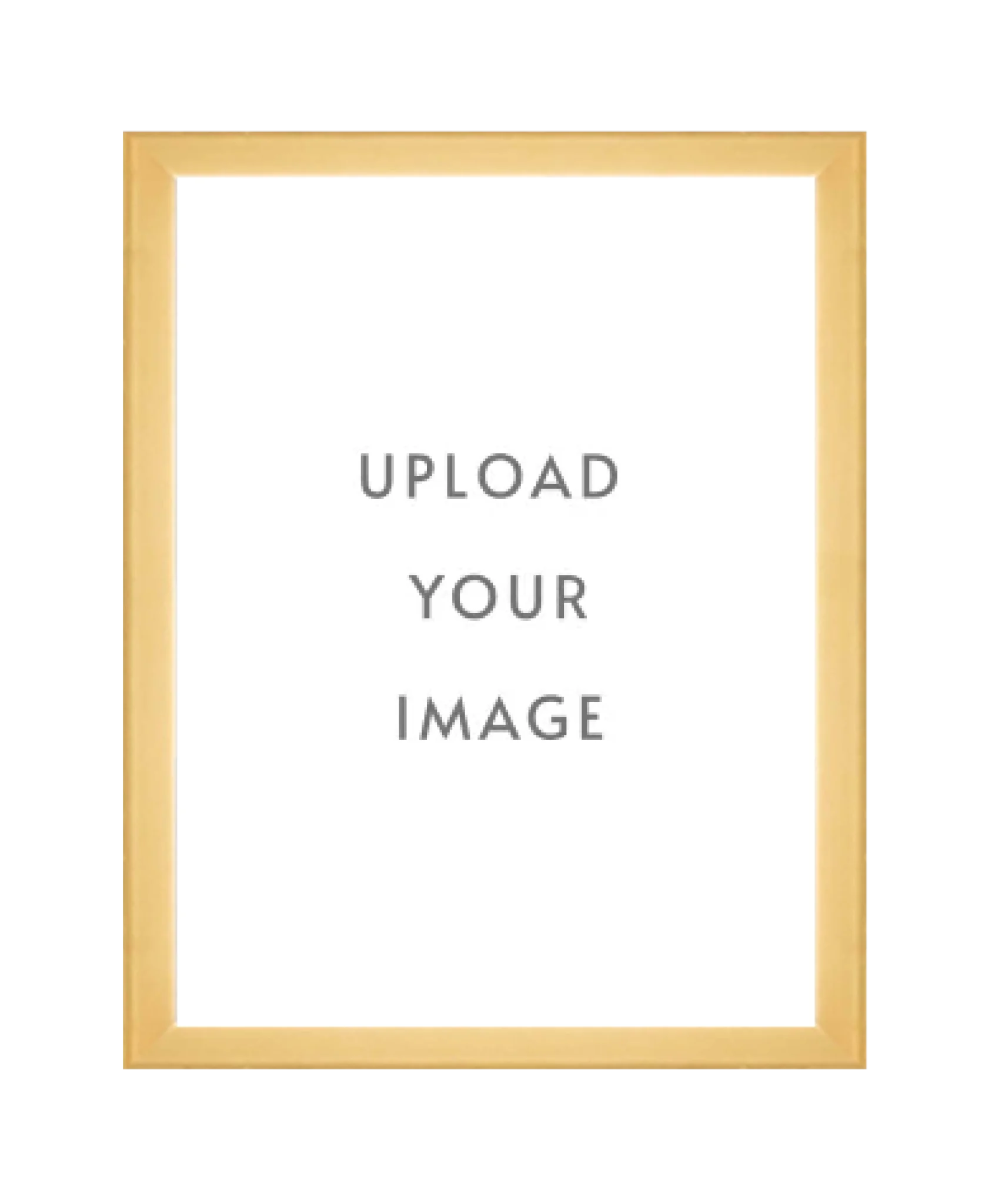 4.3 GOLD FRAME  18x24 white matting