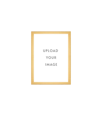 4.3 GOLD FRAME  5x7 white matting