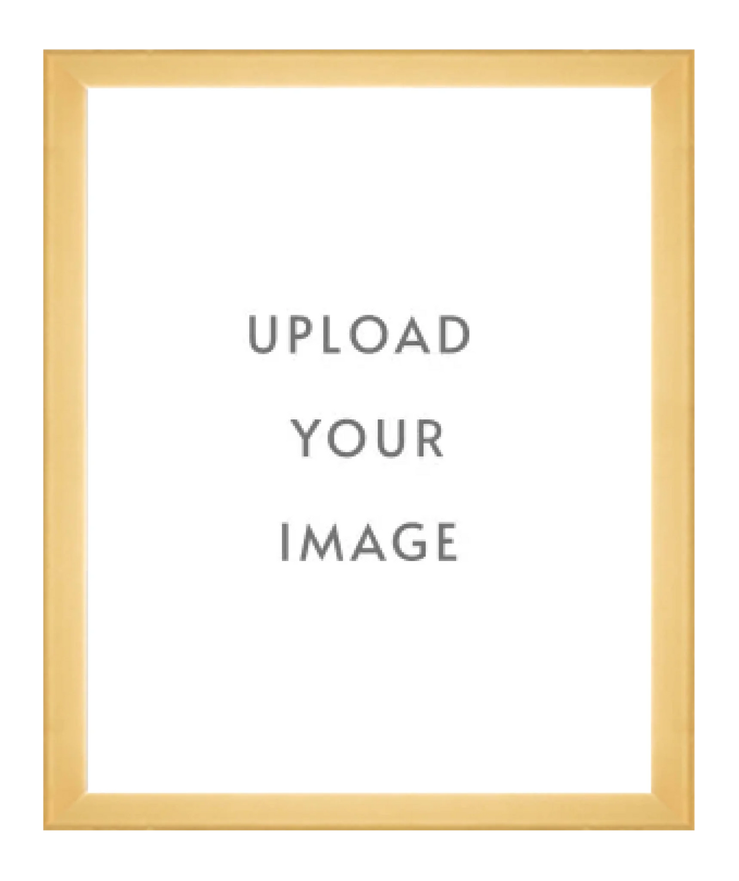 4.3 GOLD FRAME  32x40 white matting