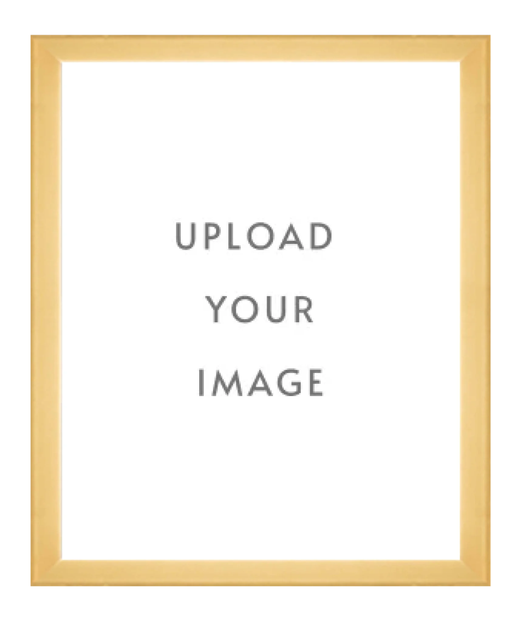 4.3 GOLD FRAME  32x40 white matting