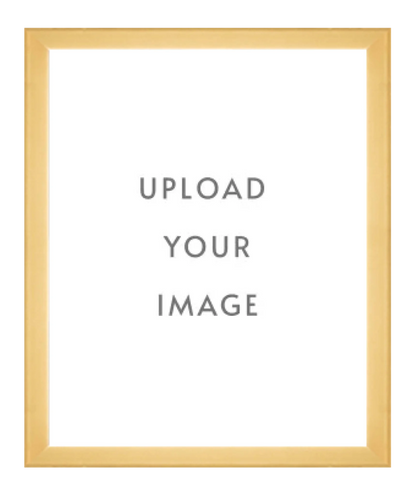 4.3 GOLD FRAME  32x40 white matting