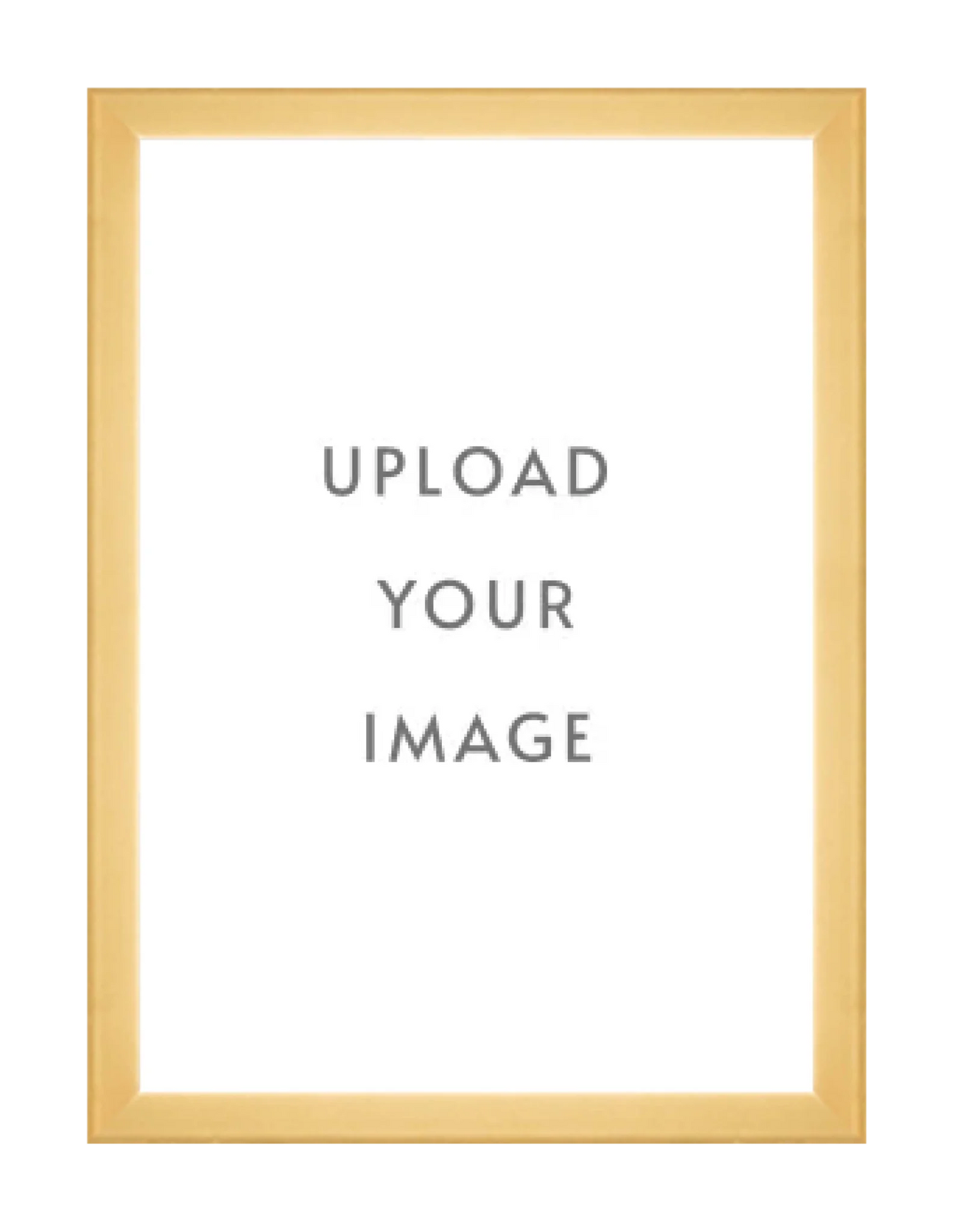 4.3 GOLD FRAME  24x34 white matting