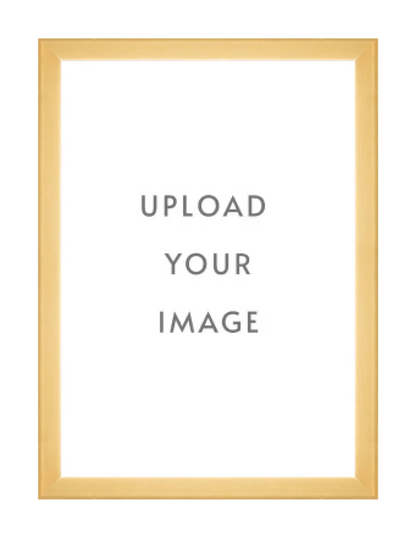 4.3 GOLD FRAME  24x34 white matting