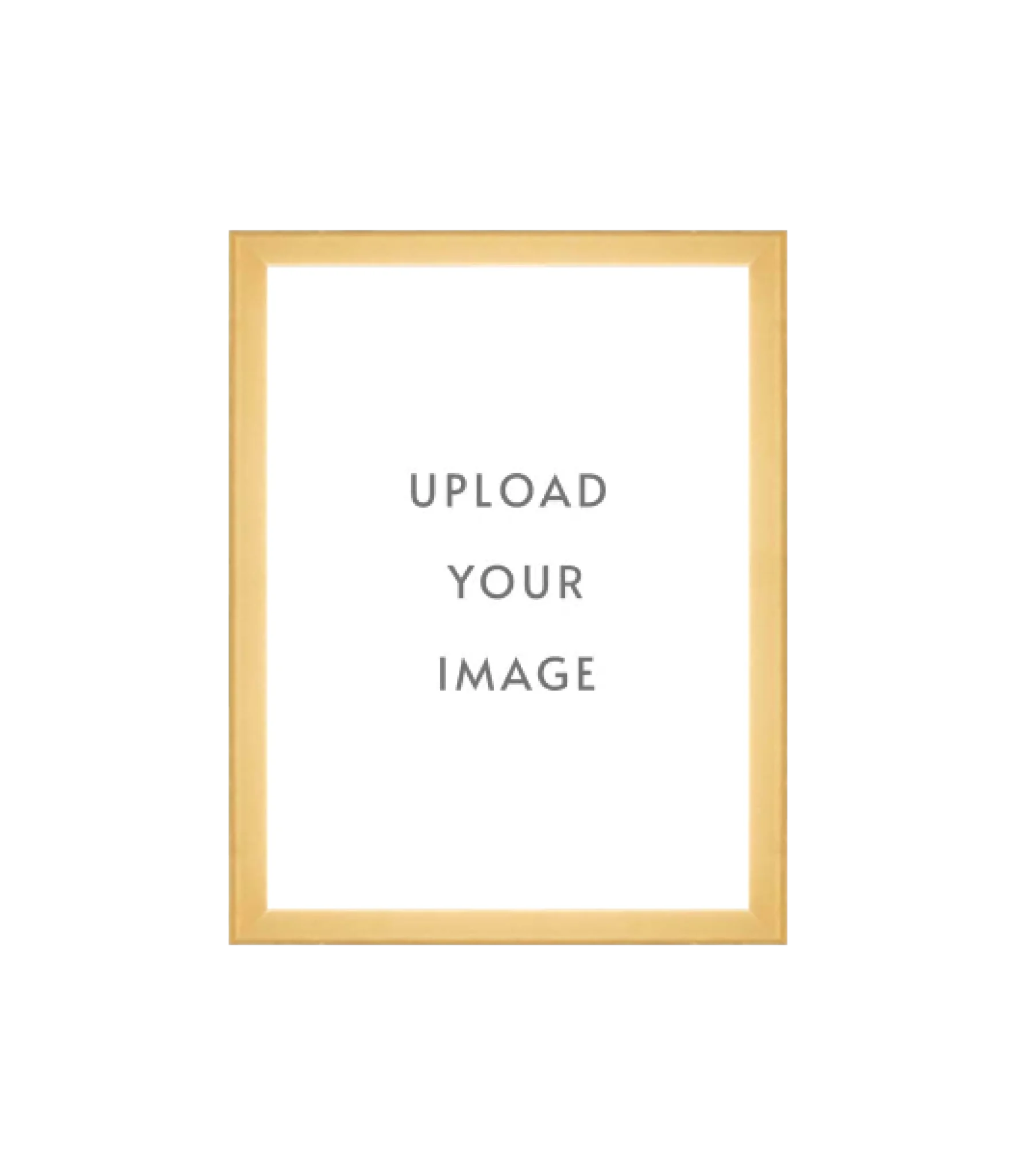 4.3 GOLD FRAME 9x12 white matting