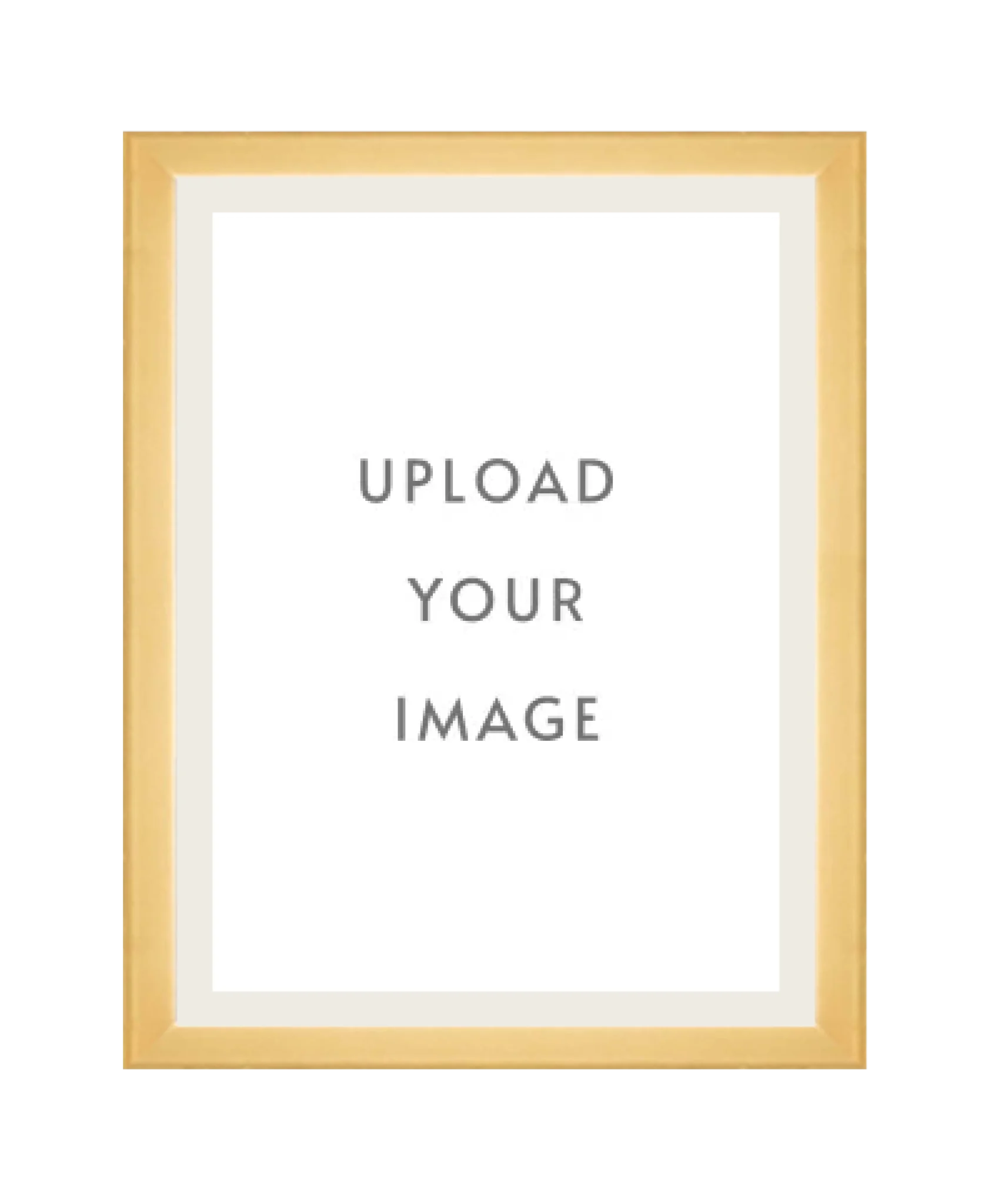 4.2 GOLD FRAME 18x24 off white matting