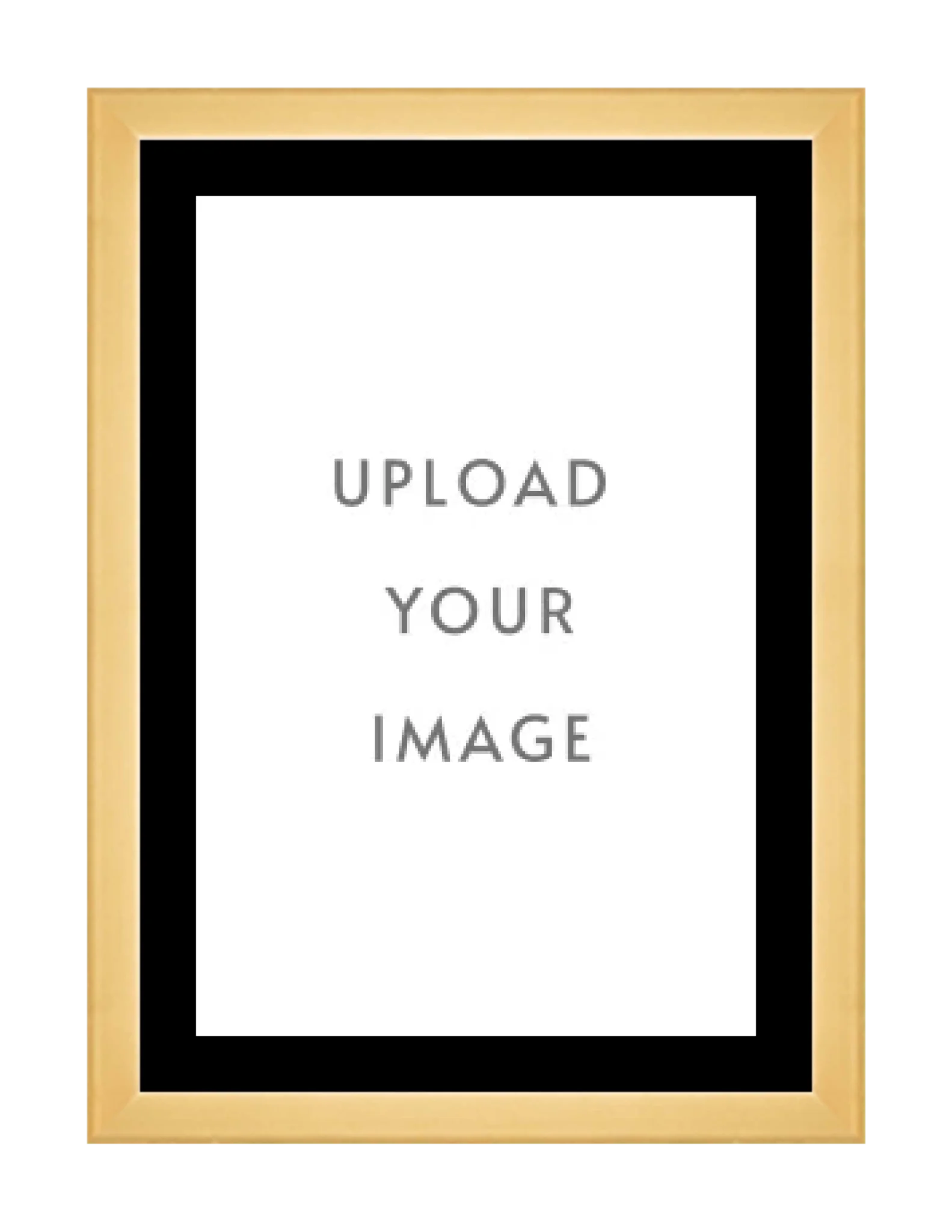 4.1 GOLD FRAME 24x34 black matting
